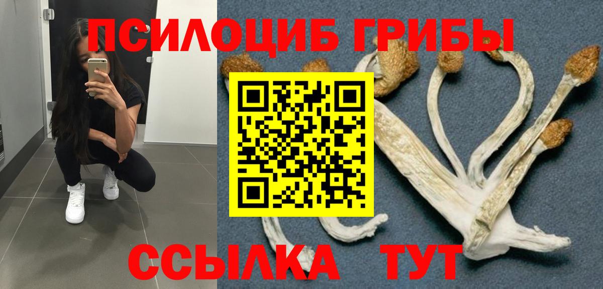 Галлюциногенные грибы прущие грибы Новоуральск
