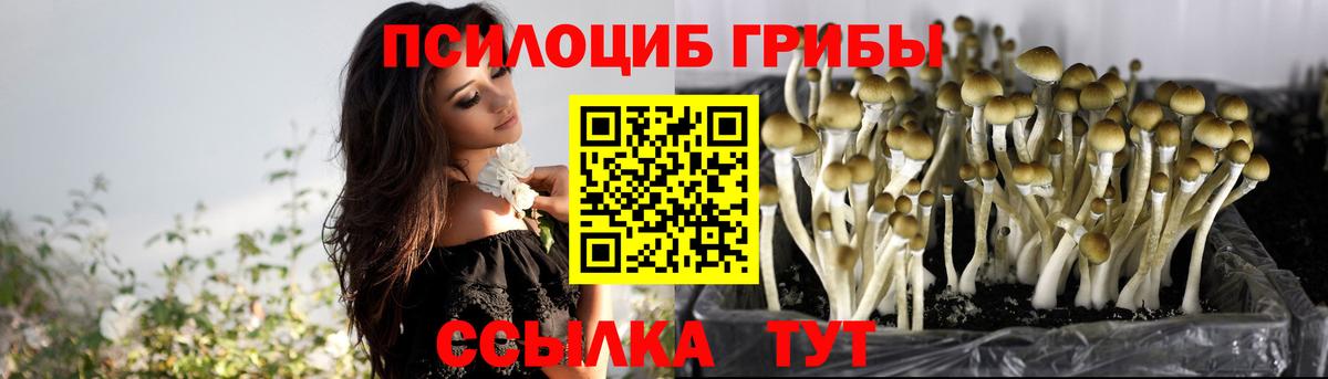 Новоуральск  Псилоцибиновые грибы ЛСД  Вход с VPN 